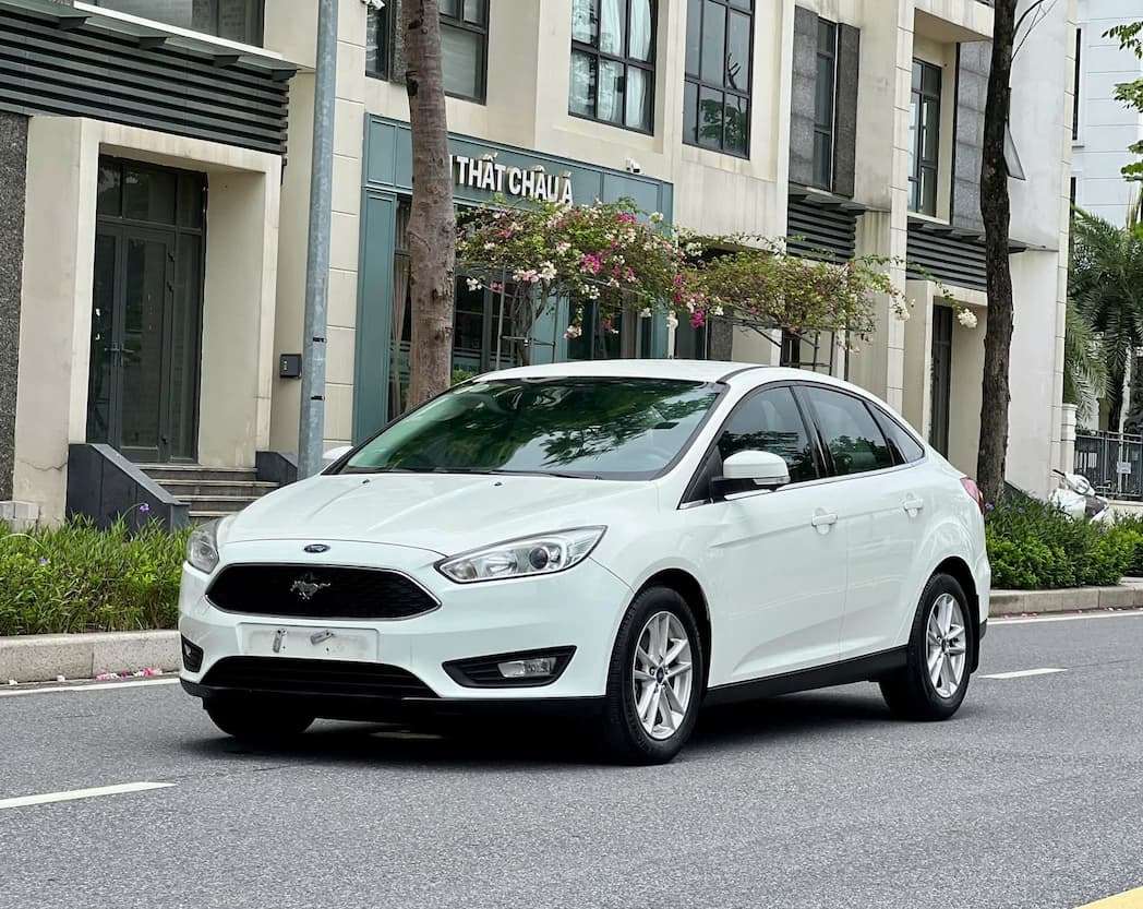 Focus 2019 trend di 10v