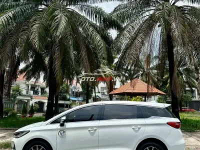 BYD M6 2025 bao check