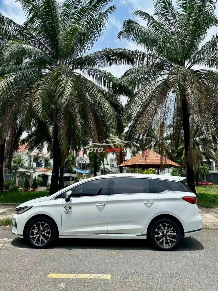 BYD M6 2025 bao check